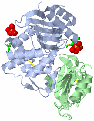 Image Asym./Biol. Unit - sites