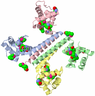 Image Asym./Biol. Unit