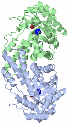 Image Asym./Biol. Unit