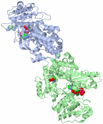 Image Asym./Biol. Unit