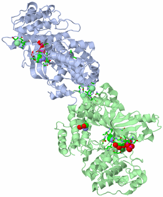 Image Asym./Biol. Unit - sites