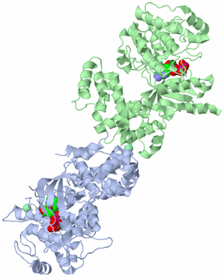 Image Asym./Biol. Unit