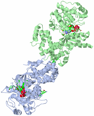 Image Asym./Biol. Unit - sites