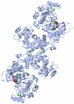 Image Biological Unit 1