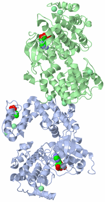 Image Asym./Biol. Unit