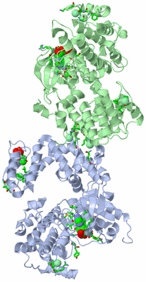 Image Asym./Biol. Unit - sites