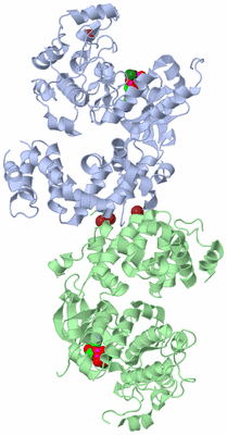 Image Asym./Biol. Unit