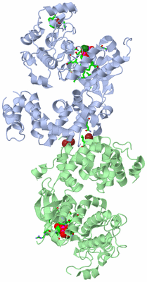 Image Asym./Biol. Unit - sites