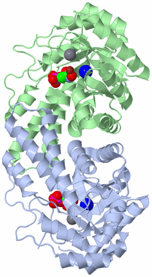 Image Asym./Biol. Unit