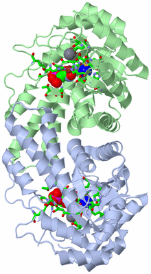 Image Asym./Biol. Unit - sites