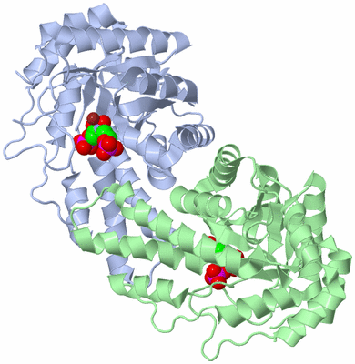 Image Asym./Biol. Unit