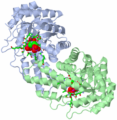 Image Asym./Biol. Unit - sites