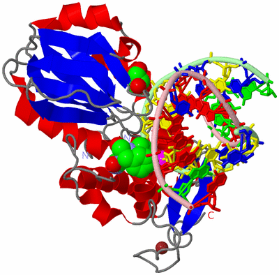 Image Asym./Biol. Unit