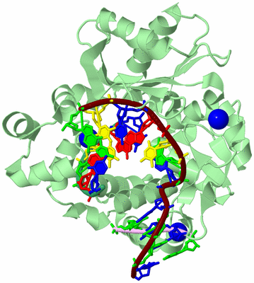 Image Biological Unit 2