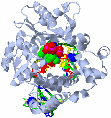 Image Biological Unit 1