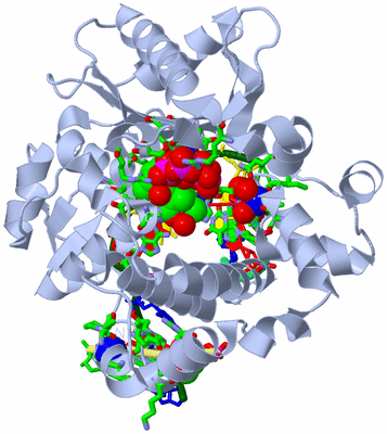 Image Biol. Unit 1 - sites