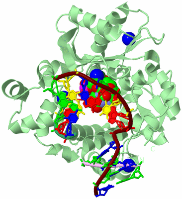 Image Biological Unit 2