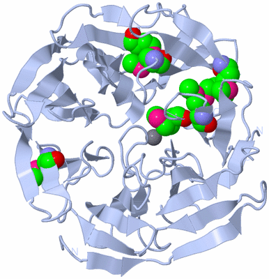 Image Biological Unit 1