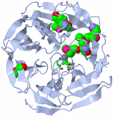 Image Biol. Unit 1 - sites