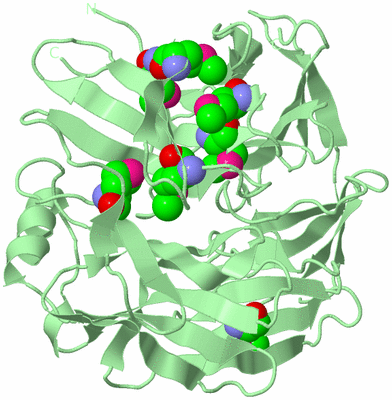 Image Biological Unit 2