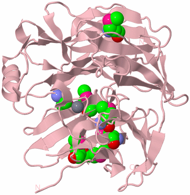 Image Biological Unit 3