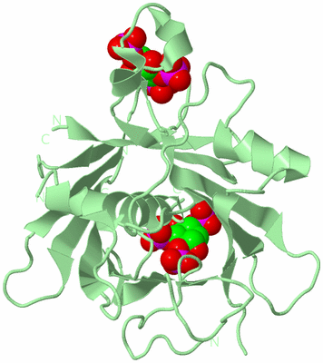 Image Biological Unit 2