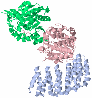 Image Asym./Biol. Unit