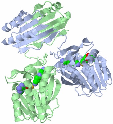 Image Biological Unit 1