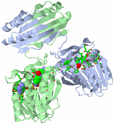 Image Biol. Unit 1 - sites