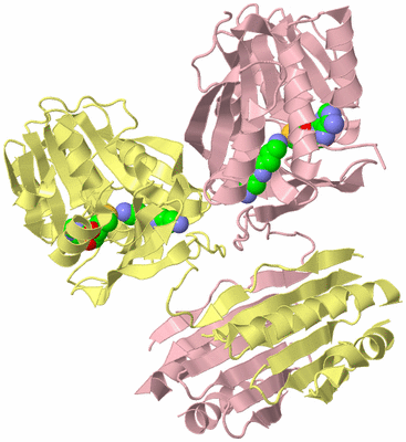 Image Biological Unit 2