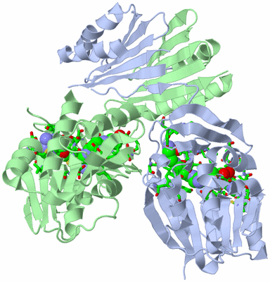 Image Biol. Unit 1 - sites