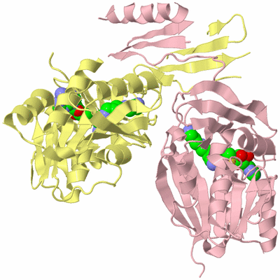 Image Biological Unit 2