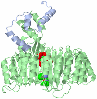 Image Asym./Biol. Unit