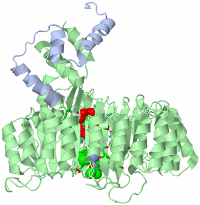 Image Asym./Biol. Unit - sites