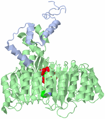 Image Asym./Biol. Unit