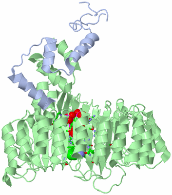 Image Asym./Biol. Unit - sites