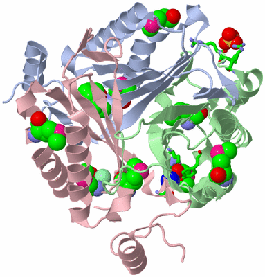 Image Asym./Biol. Unit - sites