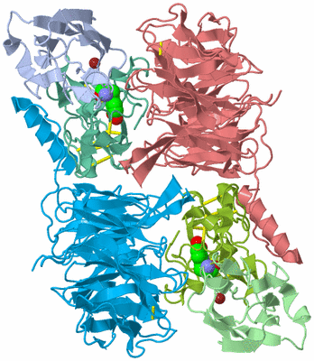 Image Asym./Biol. Unit