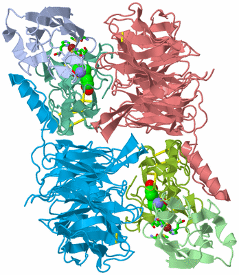 Image Asym./Biol. Unit - sites