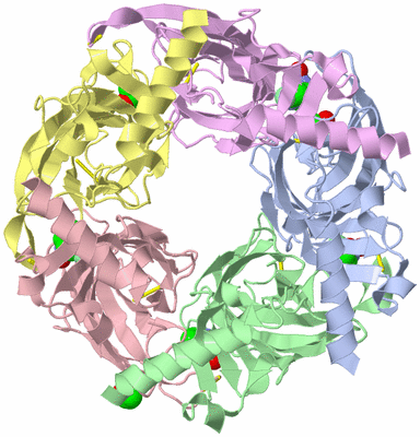 Image Asym./Biol. Unit