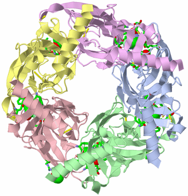 Image Asym./Biol. Unit - sites