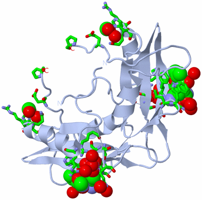 Image Biol. Unit 1 - sites