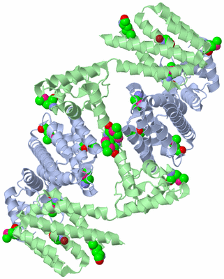 Image Biological Unit 1