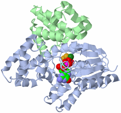 Image Biological Unit 1