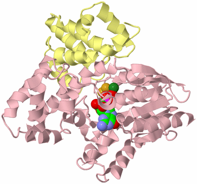 Image Biological Unit 2