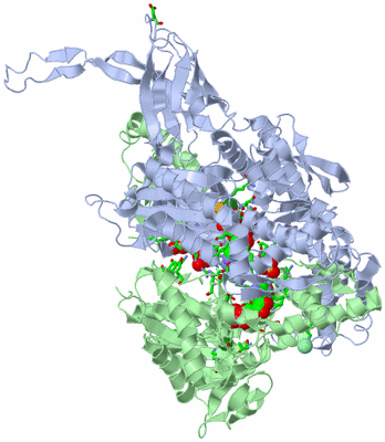 Image Asym./Biol. Unit - sites