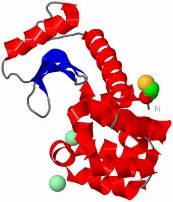 Image Asym./Biol. Unit