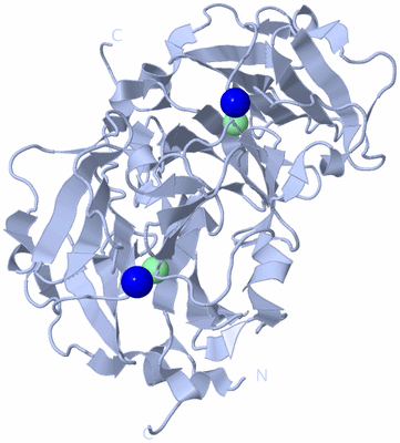 Image Biological Unit 3