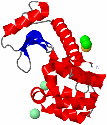 Image Asym./Biol. Unit