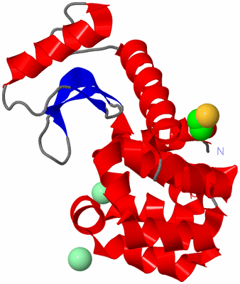 Image Asym./Biol. Unit